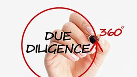 Due Diligence & Audits
